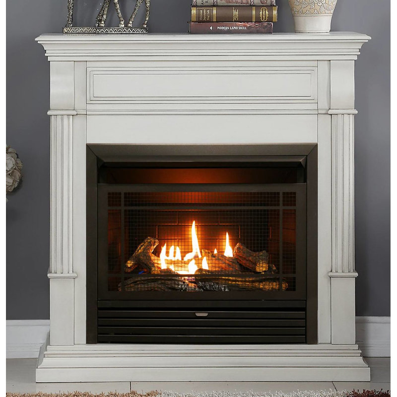Duluth Vent Free Freestanding 40"H x 40"W Propane/Natural Gas